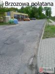 Radna Małgorzata Janda policzyła dziury na ulicy Brzozowej - 90.